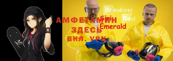 гашик Алексеевка