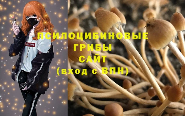 гашик Алексеевка