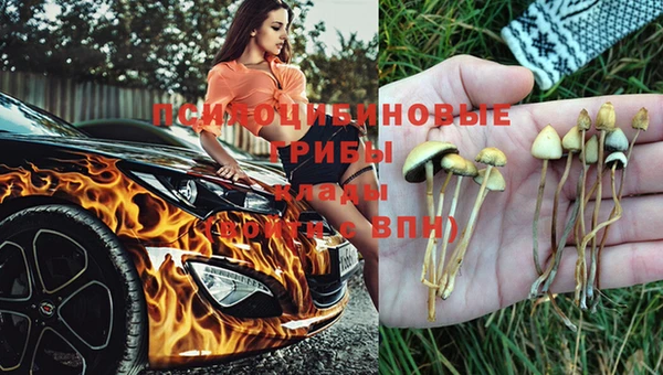 гашик Алексеевка